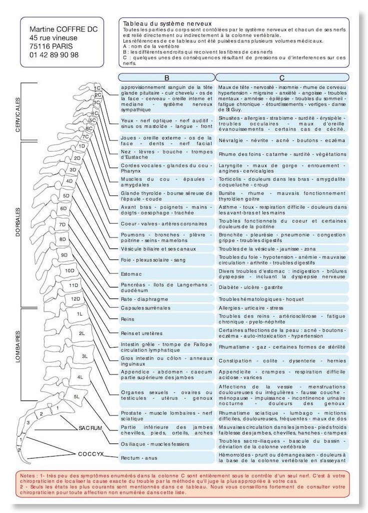 planche vertèbres et symptomes